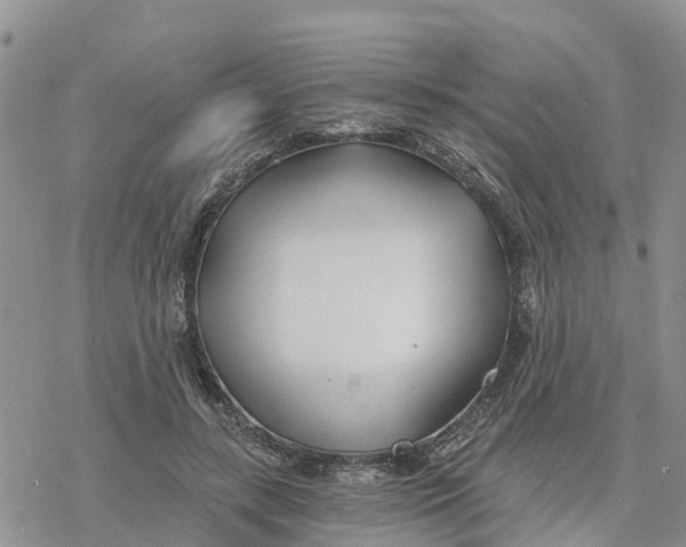 X0000078260547200611251331