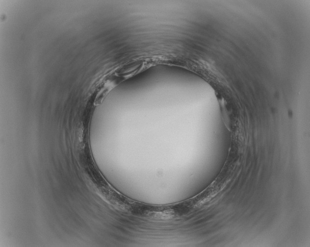 X0000078260548200611251331