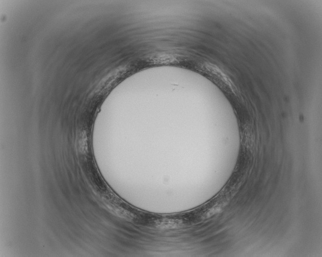 X0000078260549200611251331