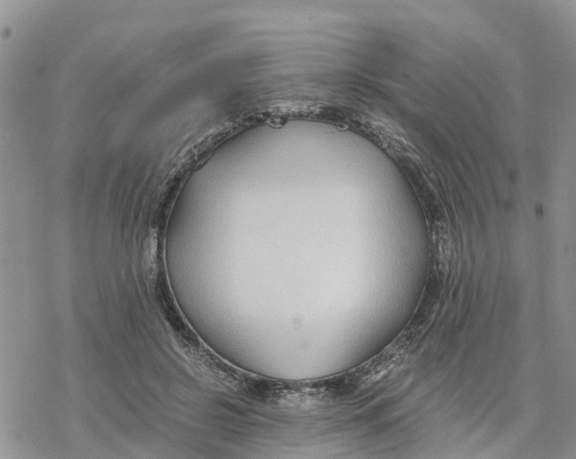 X0000078260550200611251331