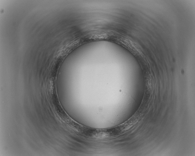 X0000078260551200611251331