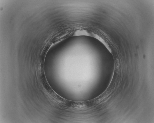 X0000078260552200611251331