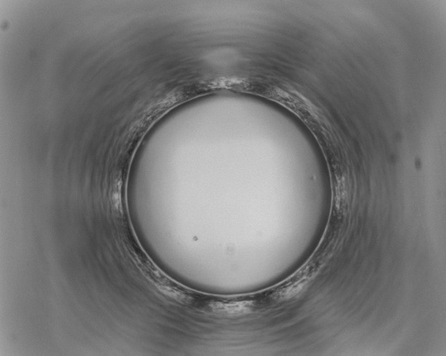 X0000078260553200611251331