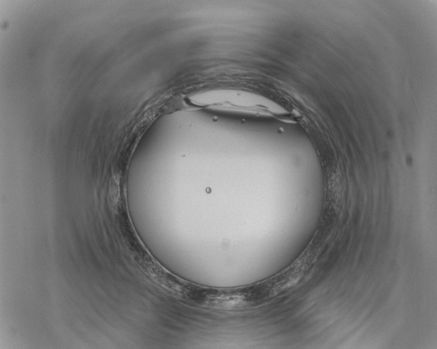 X0000078260554200611251331