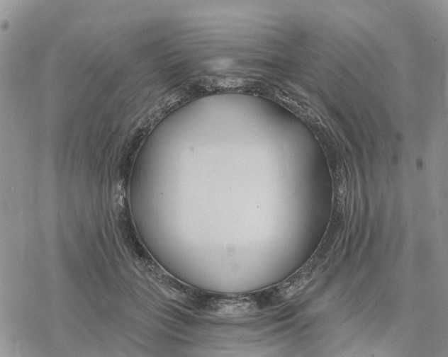 X0000078260555200611251331