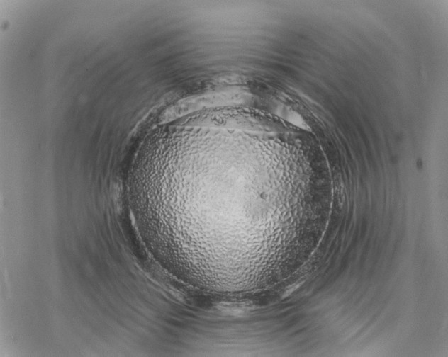 X0000078260556200611251331