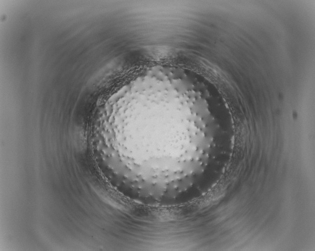 X0000078260558200611251331