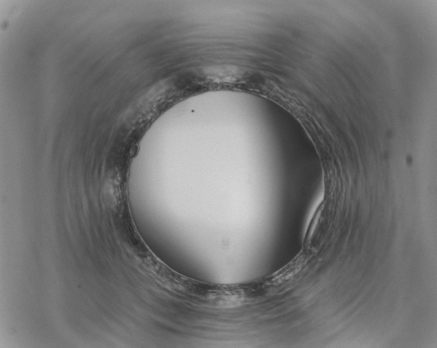 X0000078260559200611251331