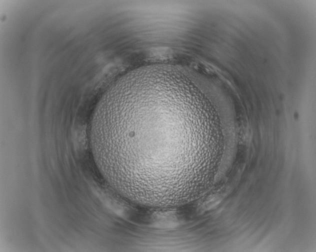 X0000078260560200611251331