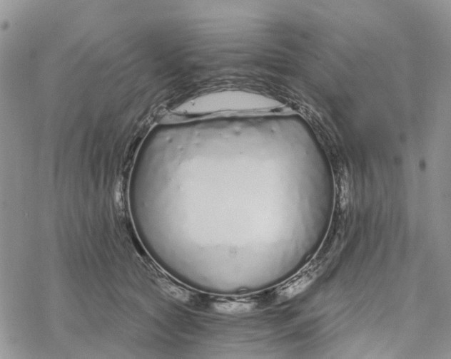 X0000078260561200611251331