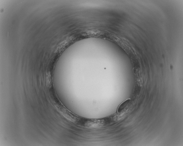 X0000078260563200611251331