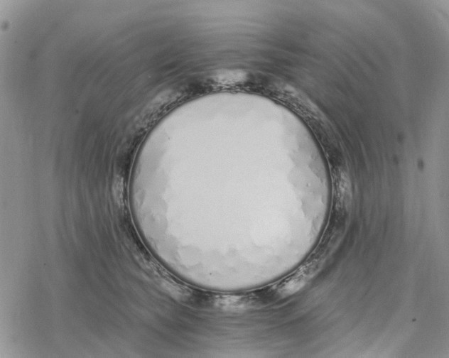 X0000078260565200611251331