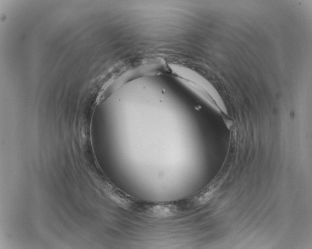 X0000078260566200611251331