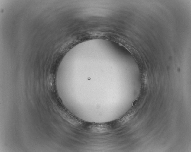 X0000078260567200611251331