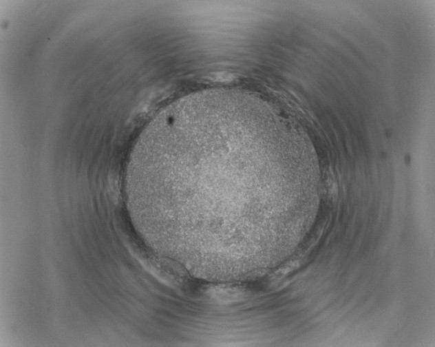 X0000078260568200611251331