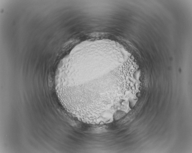 X0000078260569200611251331