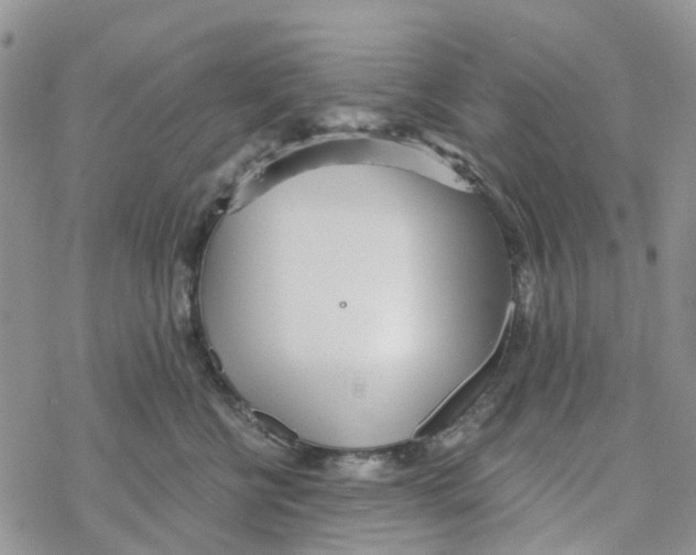 X0000078260570200611251331