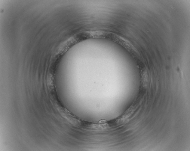 X0000078260571200611251331