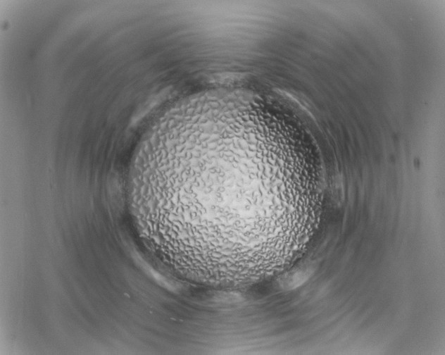 X0000078260572200611251331