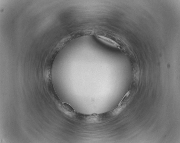 X0000078260574200611251331