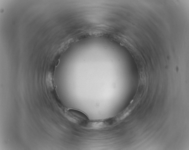 X0000078260575200611251331