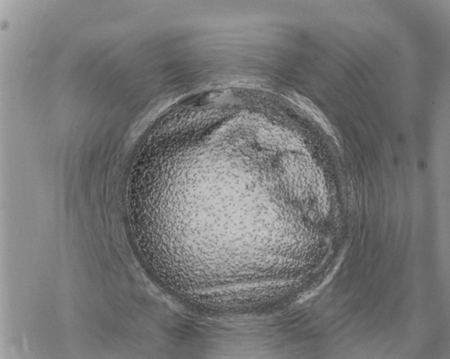 X0000078260577200611251331