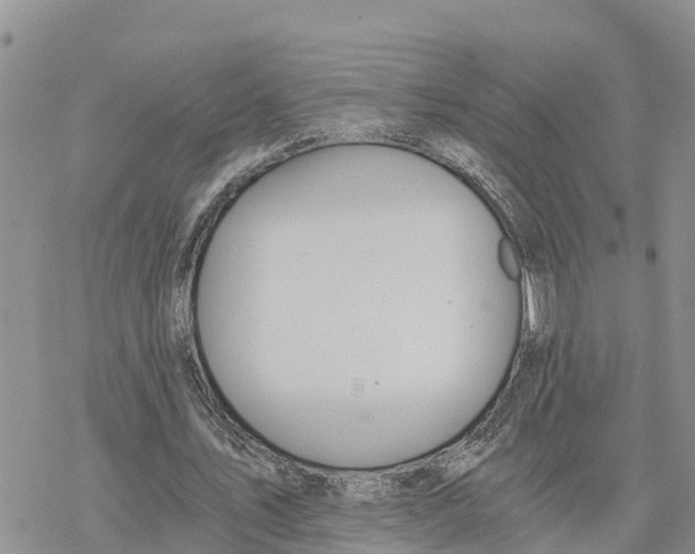 X0000078260579200611251331