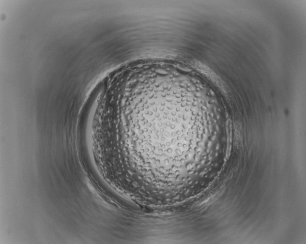 X0000078260580200611251331