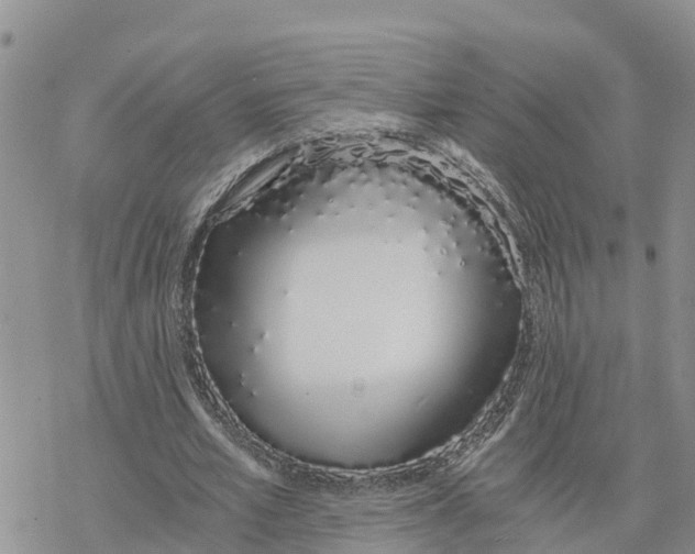 X0000078260581200611251331