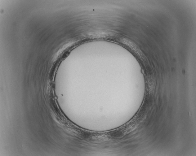 X0000078260583200611251331