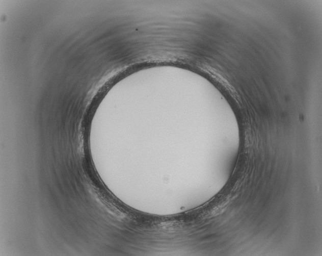 X0000078260584200611251331