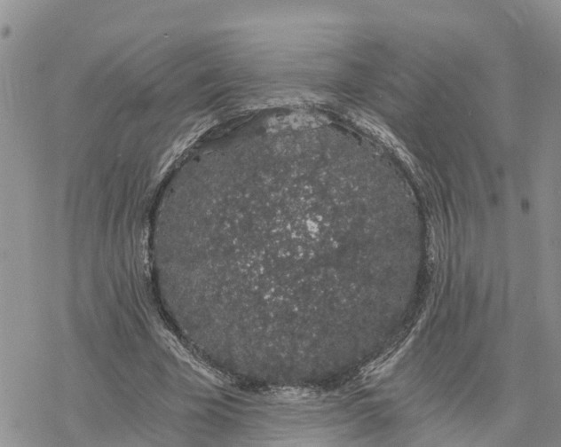 X0000078260585200611251331