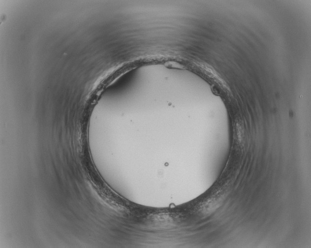 X0000078260588200611251330