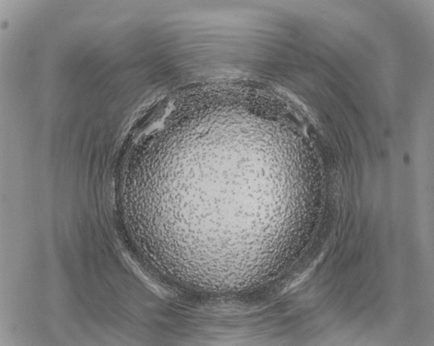 X0000078260589200611251330