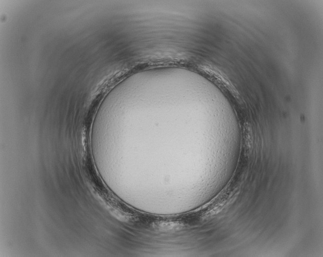 X0000078260590200611251330