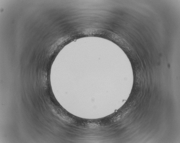 X0000078260592200611251330