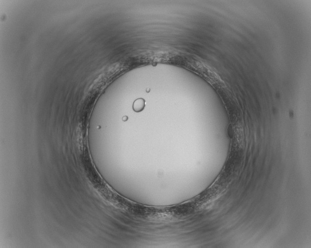 X0000078260594200611251330