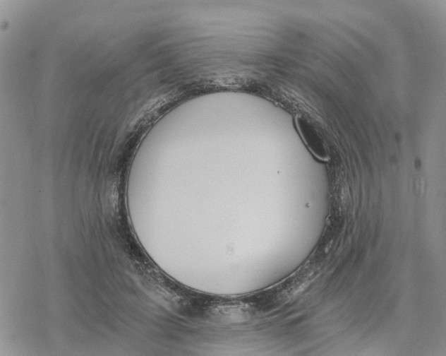 X0000078260595200611251330