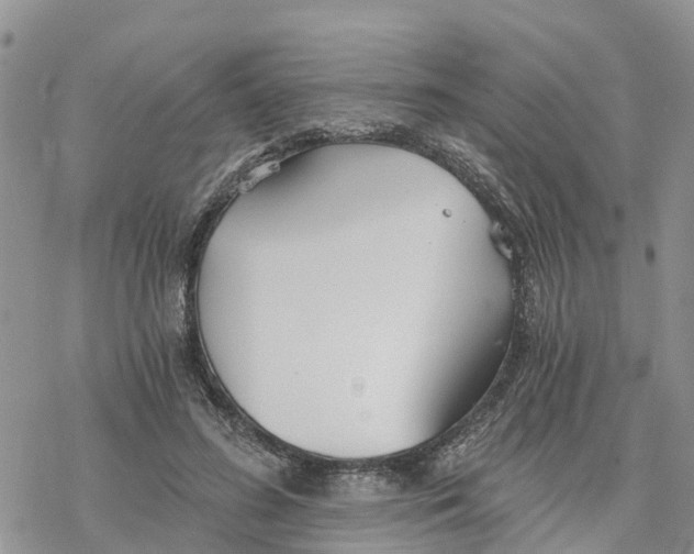 X0000078260596200611251330