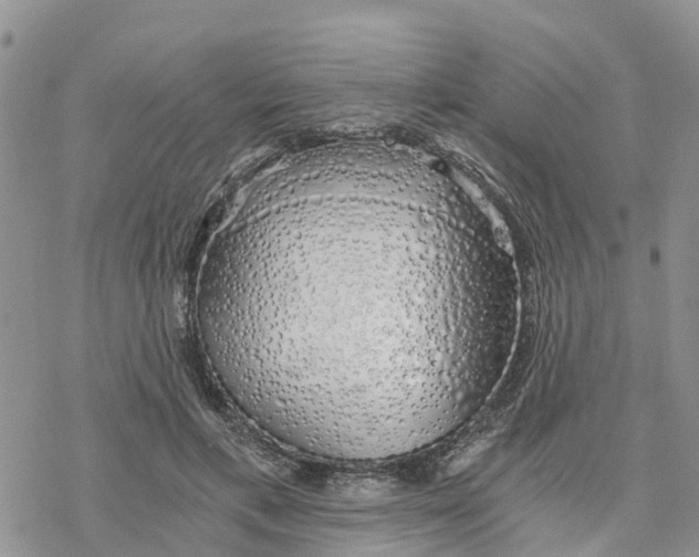 X0000078260597200611251330