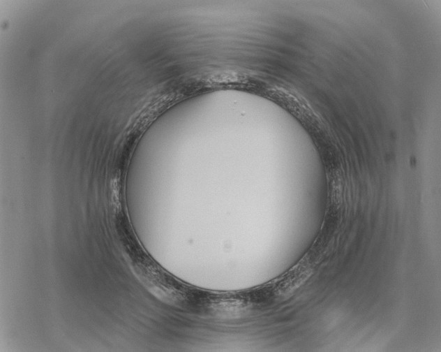 X0000078260598200611251330