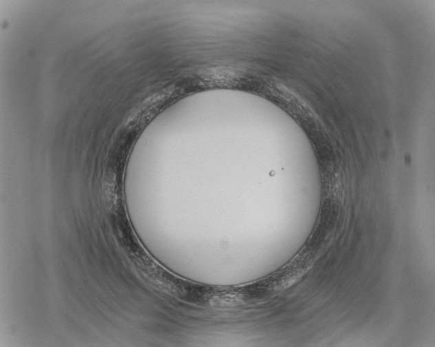 X0000078260599200611251330