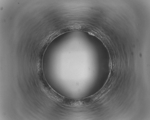 X0000078260600200611251330