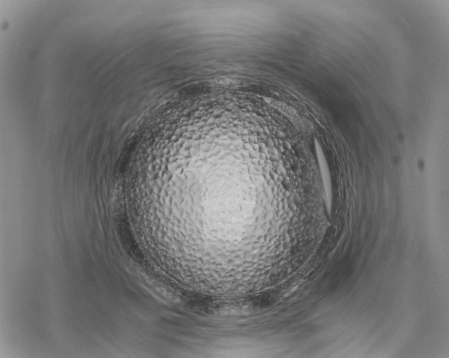 X0000078260601200611251330