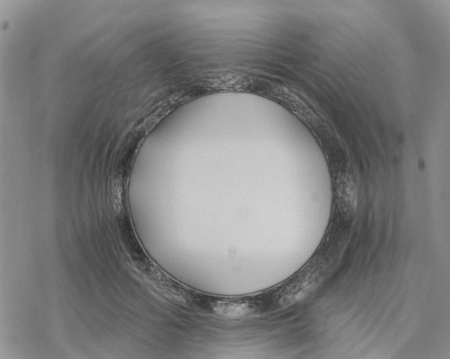 X0000078260602200611251330