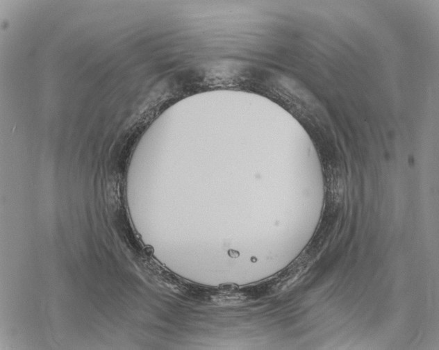 X0000078260603200611251330