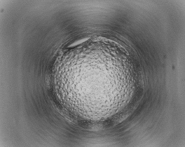 X0000078260604200611251330