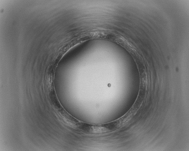 X0000078260605200611251330