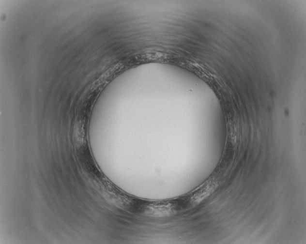 X0000078260606200611251330