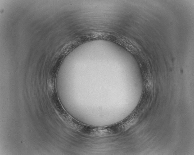 X0000078260607200611251330